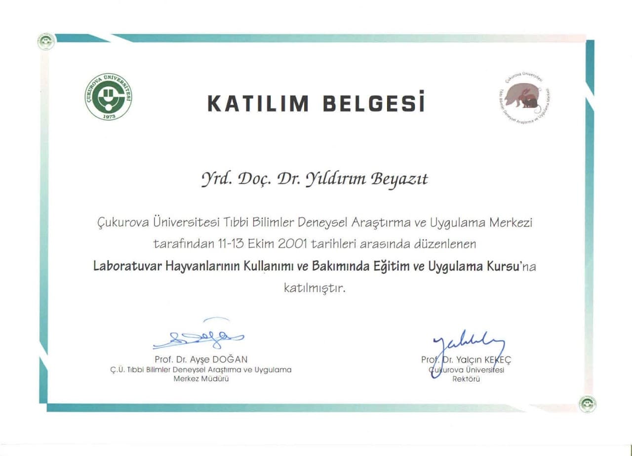 Katılım Belgesi